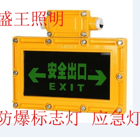 LED防爆应急灯LDXB4400