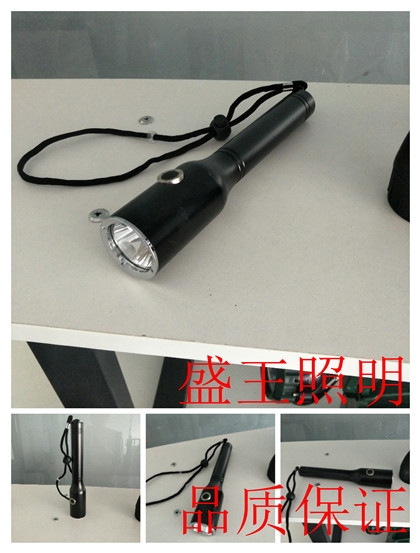 金鹵燈防爆燈T2030D-J400/250W