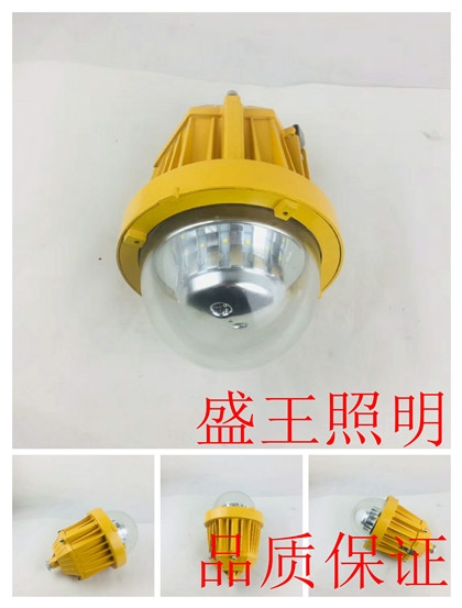 LB8024A LB8024A防水防尘防震防眩灯