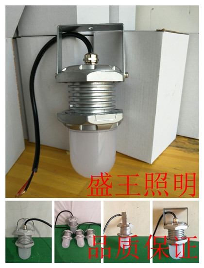 固態(tài)LED泛光燈CYGF539-L50W\100W