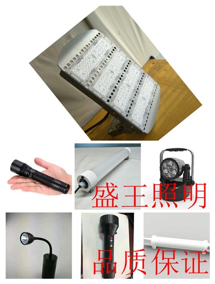 防爆工廠燈BPC8720 BPC8720