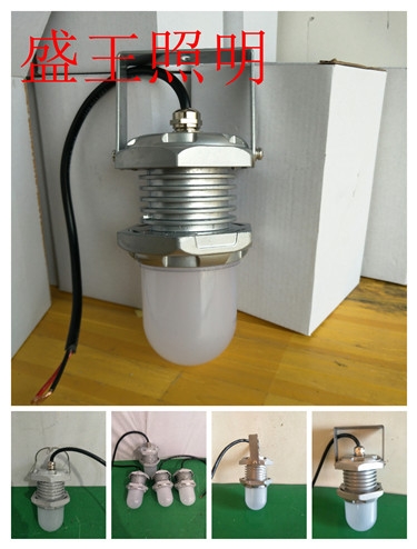 防爆強光投光燈BTC6200