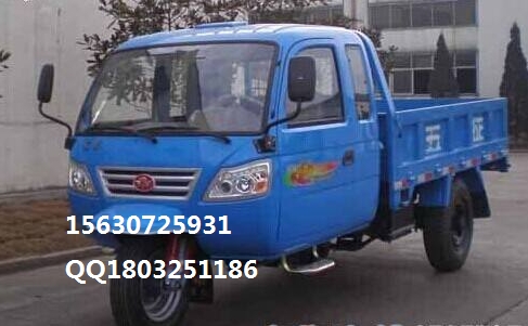 五征YPJZ-1750PDA7三輪汽車 五征自卸三輪汽車 五征農(nóng)用三輪車