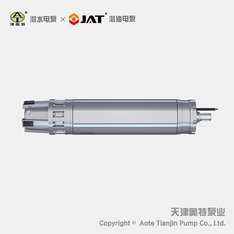 遵義市YQS潛水電機，JQS潛水馬達，強核心三相異步電動機定制生產(chǎn)