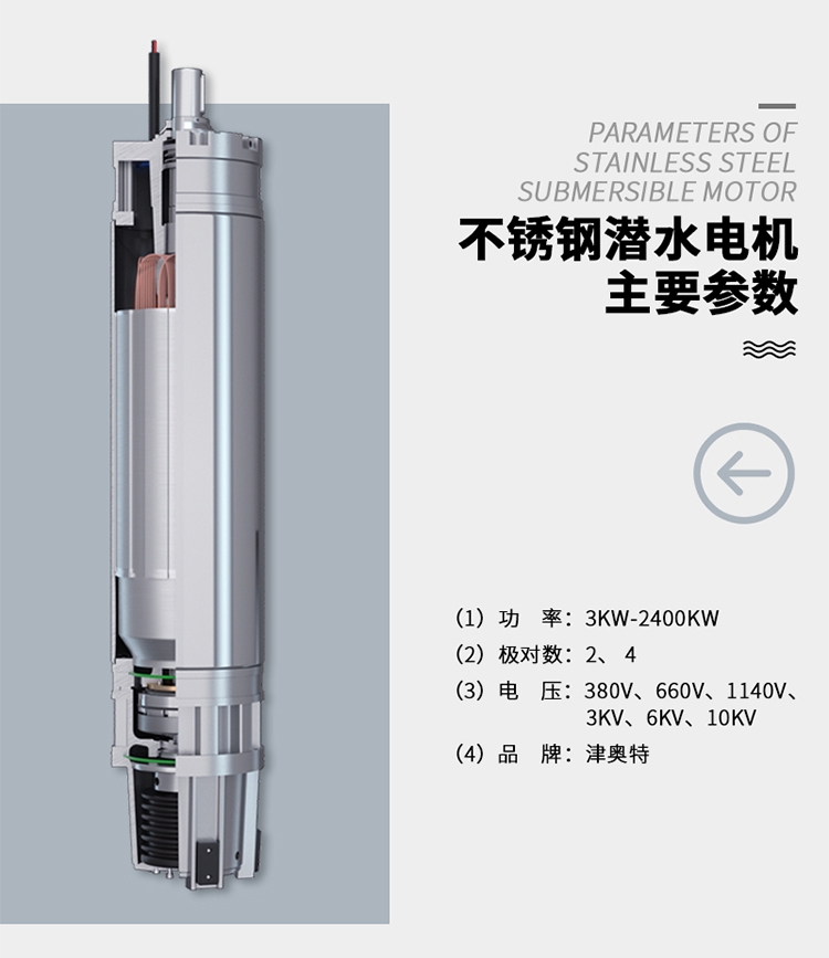 上海三相異步高精度潛水電機(jī)廠家直銷