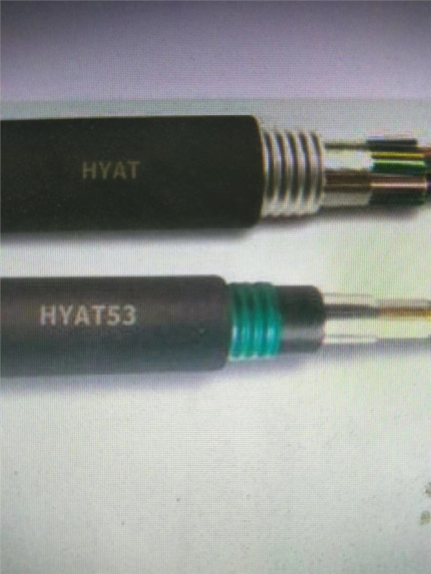 天联牌电线电缆HYA53、HYAT53铠装通信电缆型号