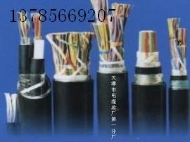 通信电缆HYA 100*2*0.5mm HYA市话通信电缆