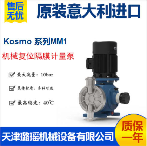 进口赛高seko计量泵Kosmo系列MM1A065A 电机驱动加药泵