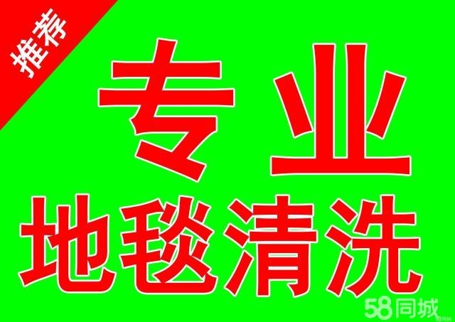 东丽区空港地毯清洗公司 专业 地毯清洗 沙发椅子清洗保养