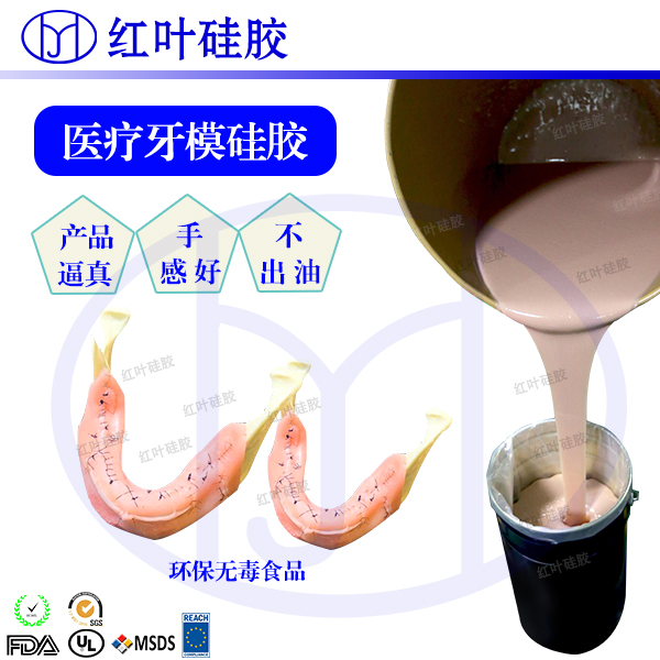 人體 牙模 穿刺仿真皮膚 醫(yī)用人體模型