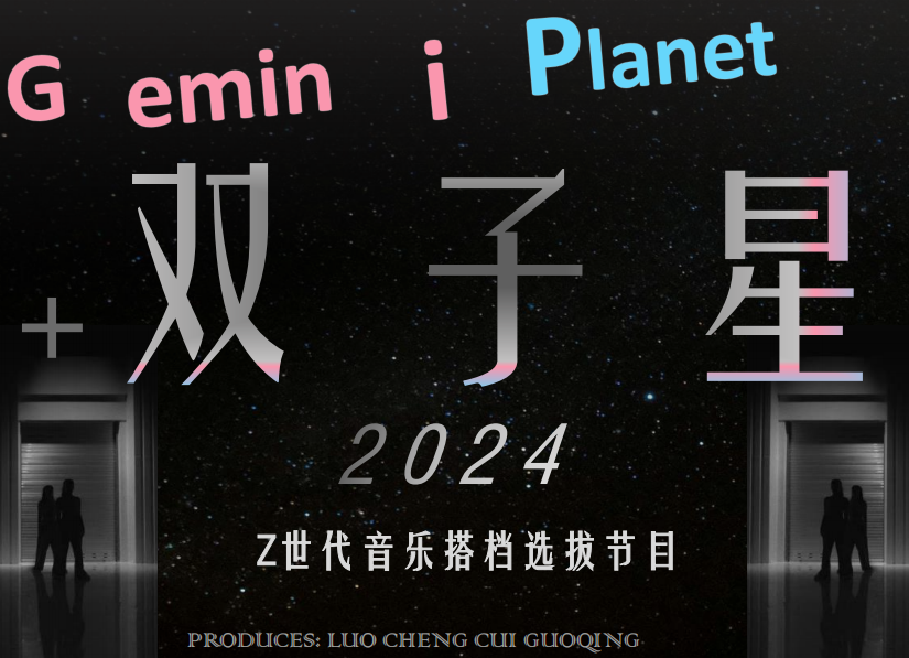 浙江卫视《双子星2024》节目广告招商价值，浙江卫视广告合作