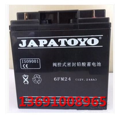 東洋6GFM24/12V24AH密閉式免維護(hù)蓄電池