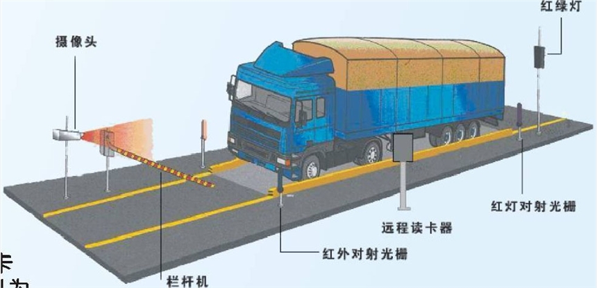 鯉城地磅銷售價格