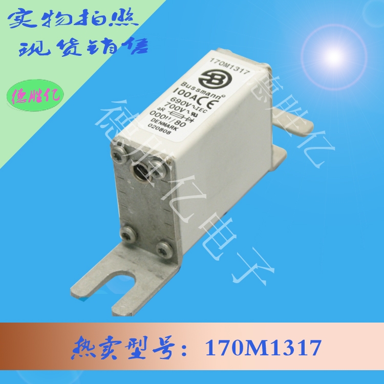 【大量現(xiàn)貨庫存】巴斯曼BUSSMANN熔斷器 170M1317 型號齊全 質量保證