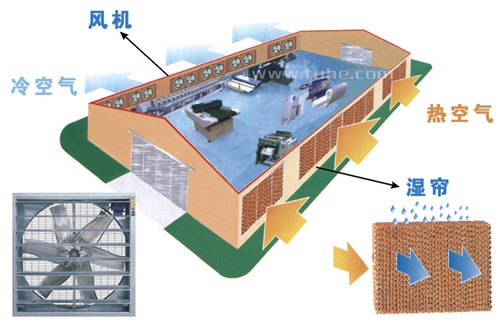 南京通風降溫設備/揚州負壓風機廠家/揚州鋼結構廠房散熱排煙設備