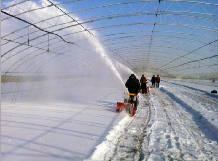 满足不同场所除雪需求  黑龙江 吉林 内蒙古 快速清雪机