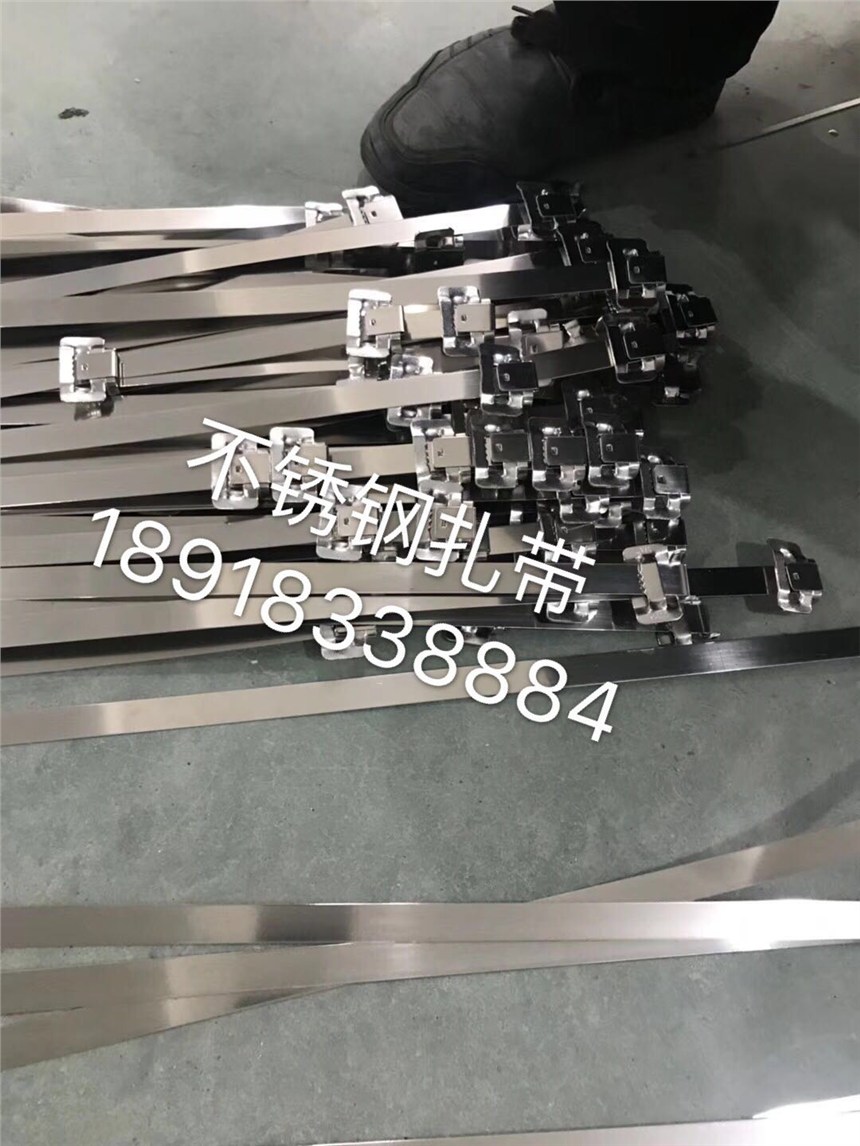 自贡4.6x550MM不锈钢扎带价格