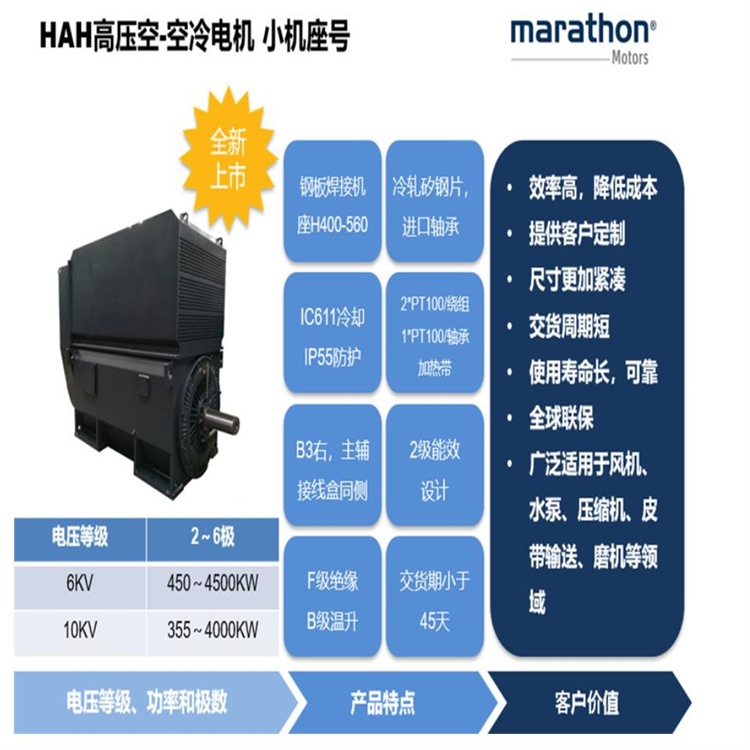 無錫華達(dá)電機(jī) HAH系列高壓電機(jī)