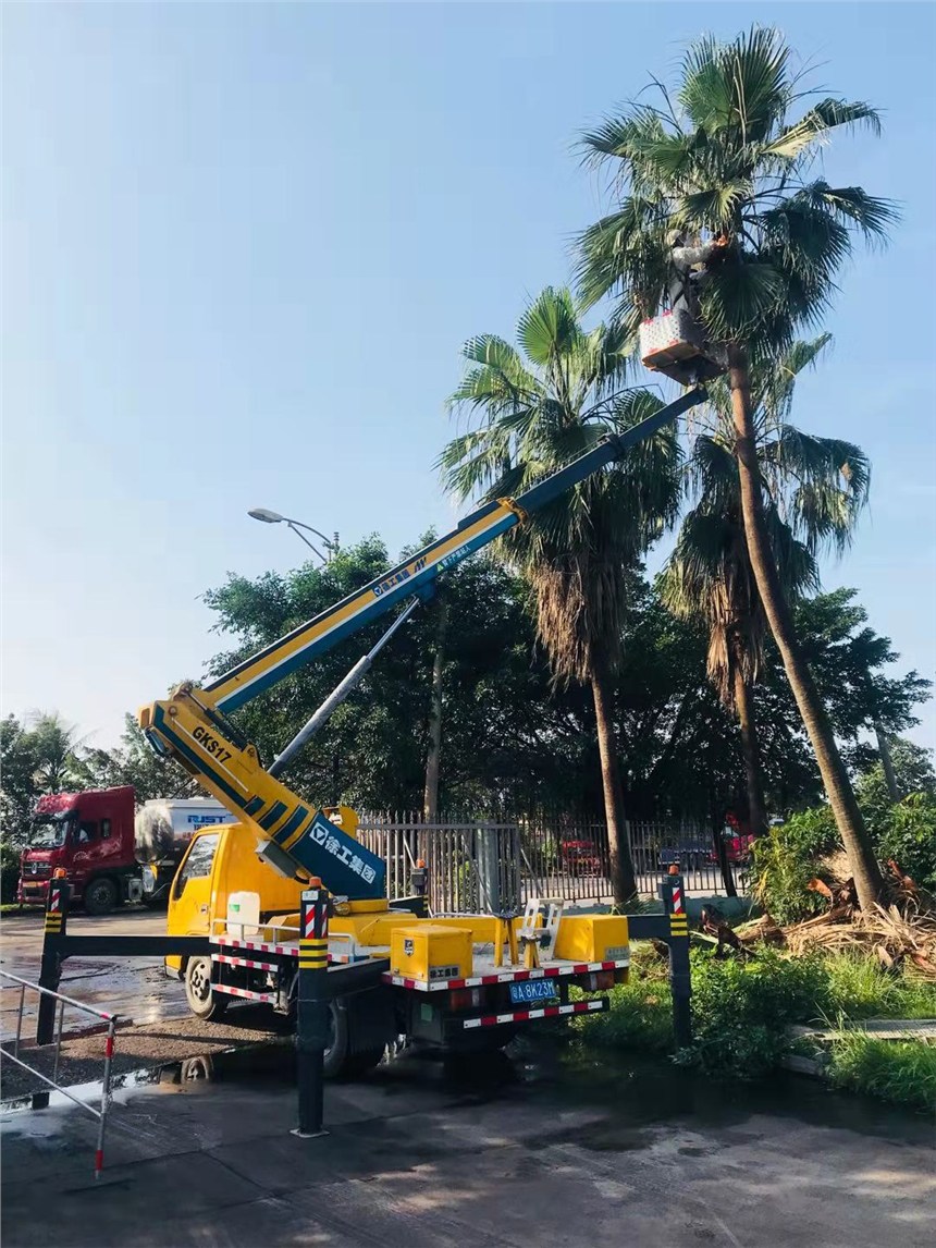 顺德路灯车桥检车高空车吊篮车出租