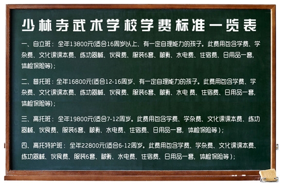 嵩山少林寺武校一年多少錢？《少林寺武校學費》