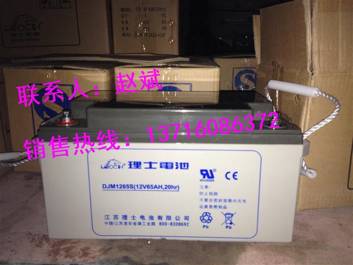 理士LEOCH蓄電池FT12-150L/12V150AH價(jià)格參數(shù)