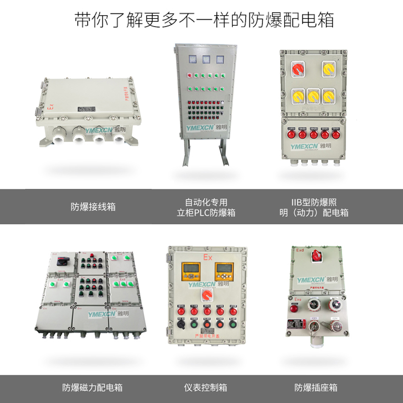 BXMD-ExdeIIBT6/IP65防爆磁力起動(dòng)器/防爆電磁起動(dòng)箱