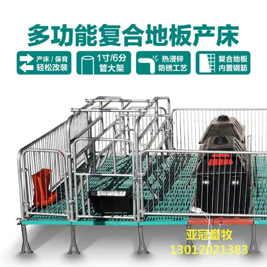 供应厂家焊接养猪设备亚冠YG-01双体母猪产床