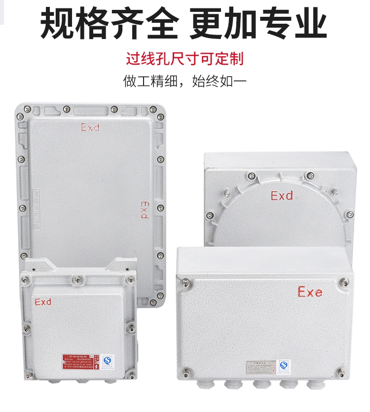 400*500*200防爆总电源开关箱  IICT6挂墙式防爆设备箱