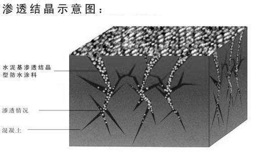 新聞:梅州水泥基滲透結晶型防水涂料ⅰ型