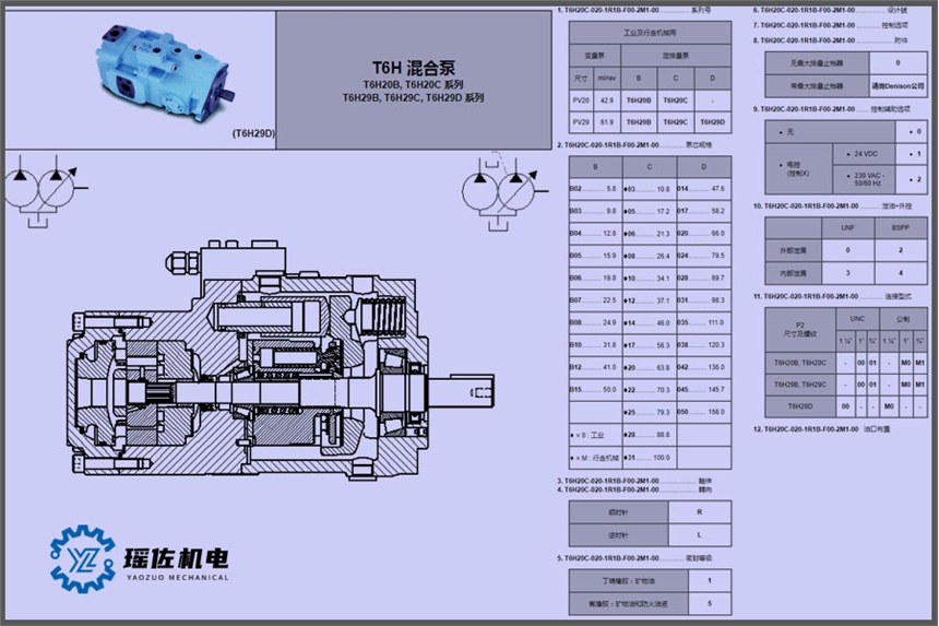 DENISON葉片泵雙作用卸荷式T6E-066-2R00-C1