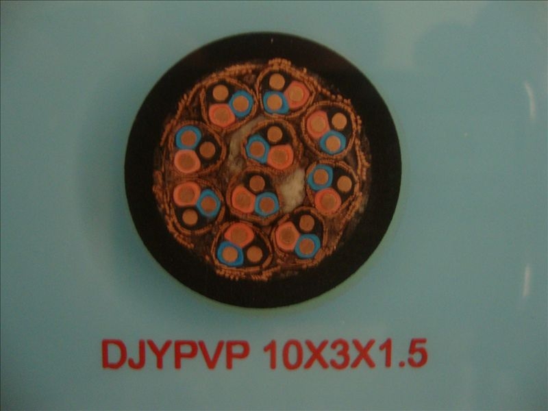 DJYP2VP2-13*2*0.75xӋC||(zh)