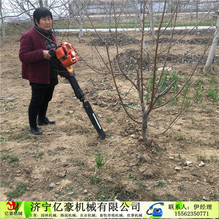 阿爾山多功能汽油動力園林樹苗起樹機經(jīng)銷商