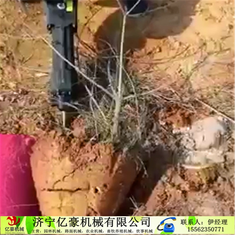 蒲縣汽油挖樹機 二沖程斷根起樹機找哪家