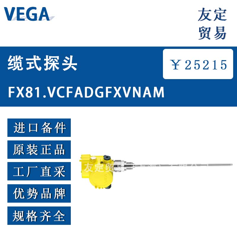 VEGA 缆式探头 议价