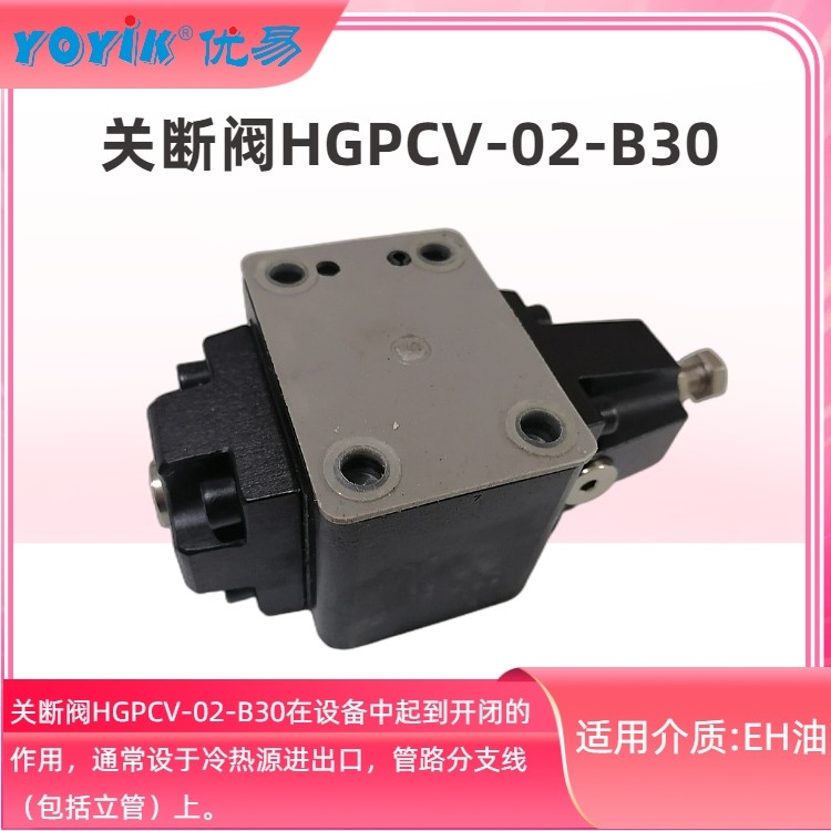 電磁閥J-220VAC-DN6-D/20B/2A東方一力汽機調(diào)速門生產(chǎn)廠家