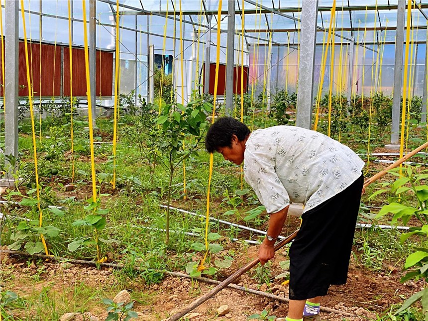 熱鍍鋅鋼管遮陽大棚支持定制