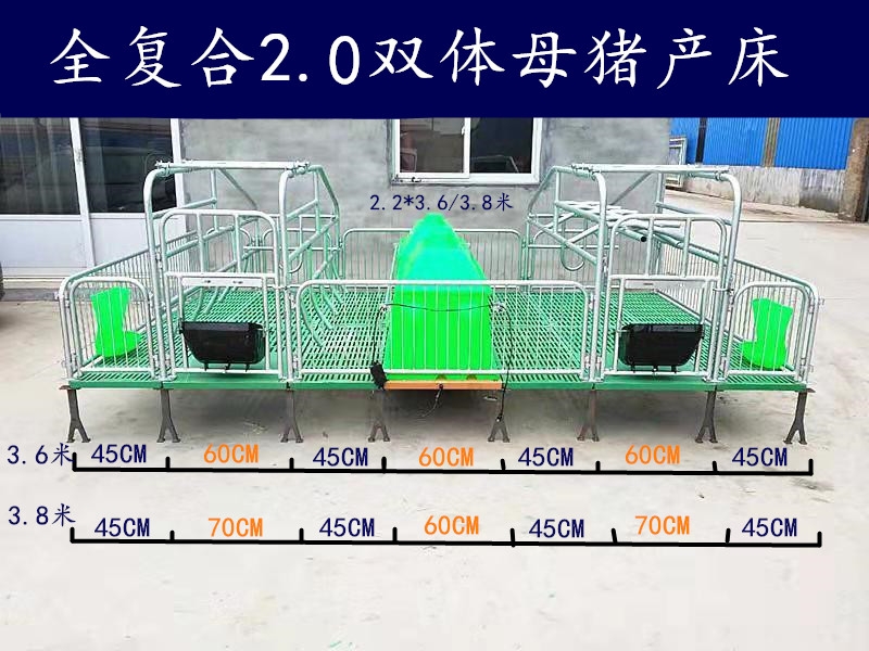 母猪产床 双体猪用分娩床 新型猪用设备