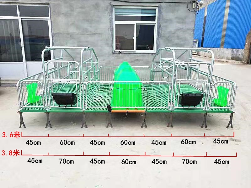 新款母猪产床畜牧业猪用设备