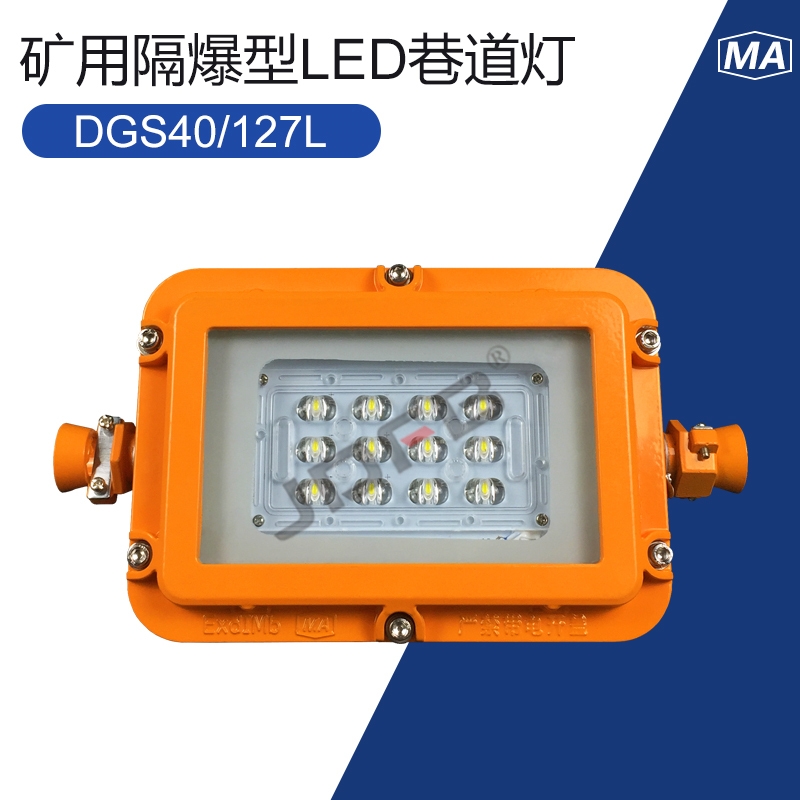 DGS40/127 (A)矿用隔爆型遂道灯 LED防爆灯 感应灯