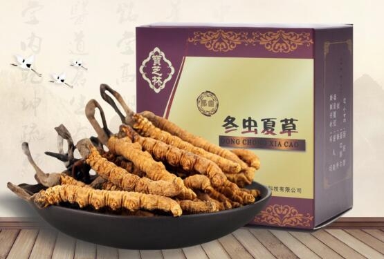 珠?；厥斩x夏草,珠海高價(jià)回收禮盒裝冬蟲夏草