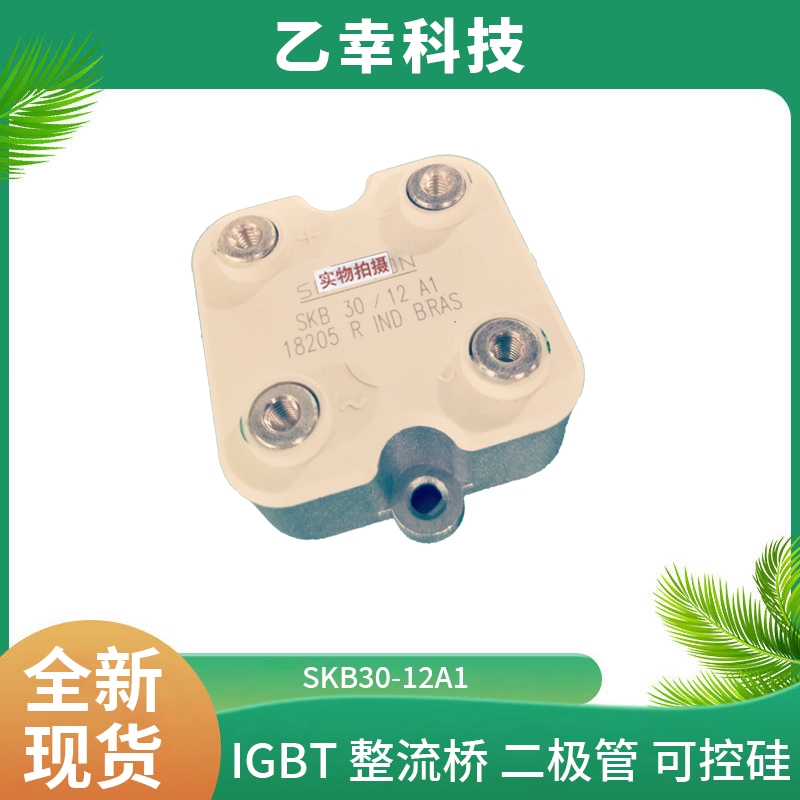 西門康IGBT模塊SKB30-12A1