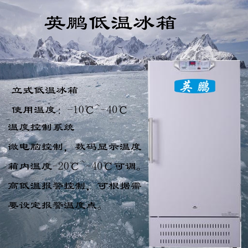 济南-40℃立式低温冰箱，英鹏-40℃立式低温冰箱