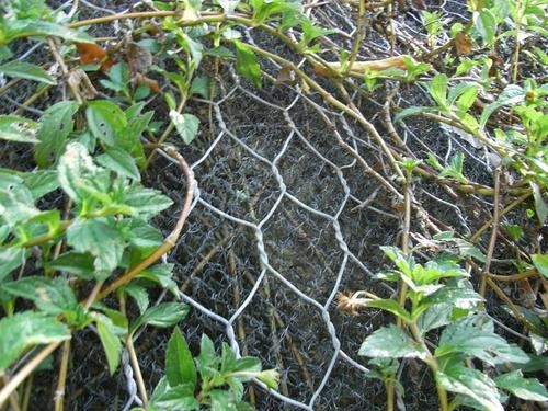 鍍高爾凡（鋅鋁合金）加筋麥克墊邊坡植草防護