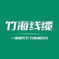 竹海電線電纜有限公司Logo