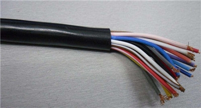 ZCN-DJVP3V-22-(J)0.3/0.5kV±