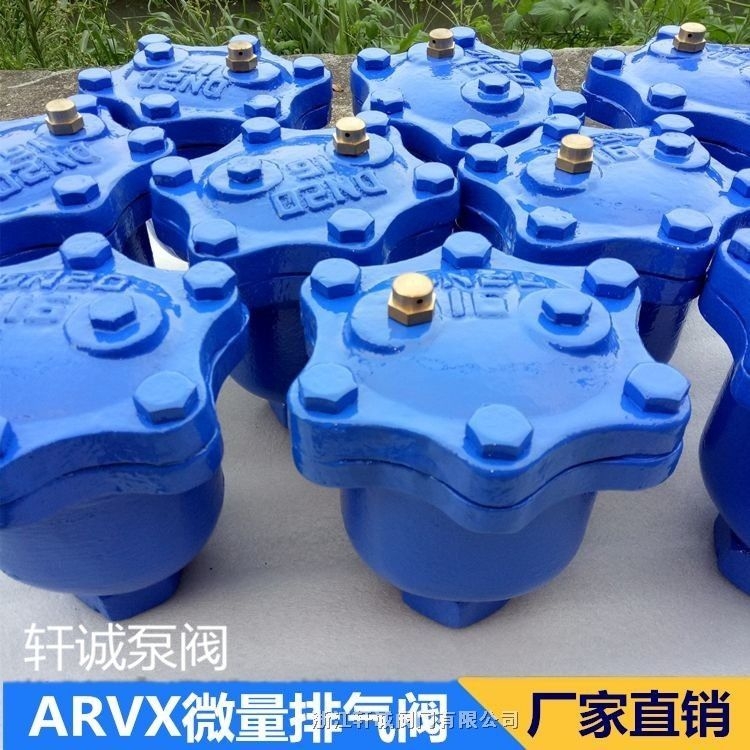 軒誠閥門直銷  ARVX微量排氣閥   微量排氣閥廠家