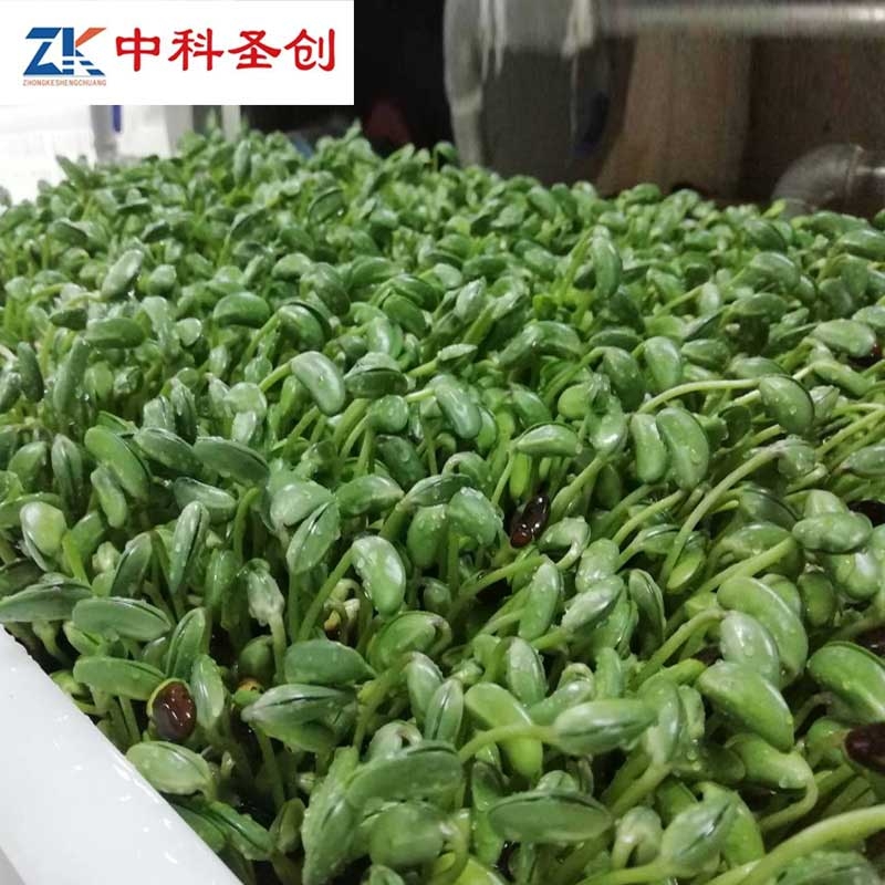 信陽芽苗菜機多少錢 芽苗菜種植機 全自動不銹鋼芽苗菜機廠家