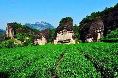 秦皇島聚氨酯拋光材料可行性研究報(bào)告案例