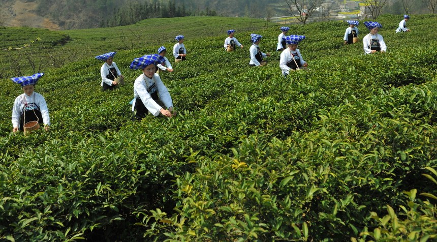 蒸壓加氣混凝土砌塊可行性研究報告通過