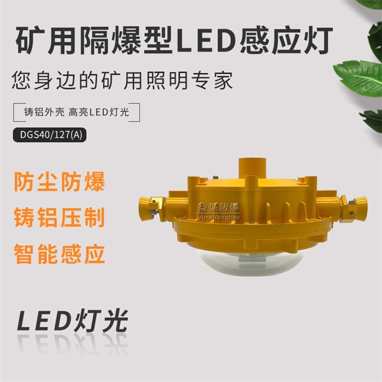 DGS40/127L(A)矿用LED感应灯 防爆煤矿巷道感应灯